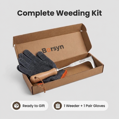 Borsyn 3-Edge Crack Weeder Set with Gloves – Stainless Steel Tool for Pavers & Drivewayss