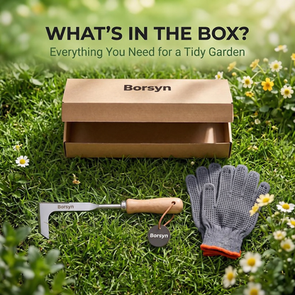 Borsyn 3-Edge Crack Weeder Set with Gloves – Stainless Steel Tool for Pavers & Drivewayss