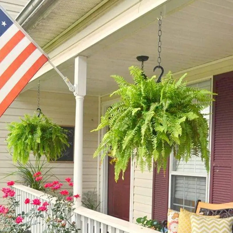 💛Glowing Boston Ferns with Lights – 🌿 Zero Watering, Zero Maintenance